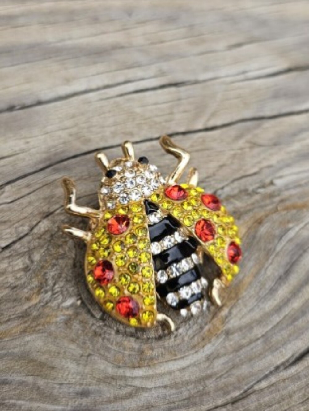 Ladybug Brooch with Crystals Nw5